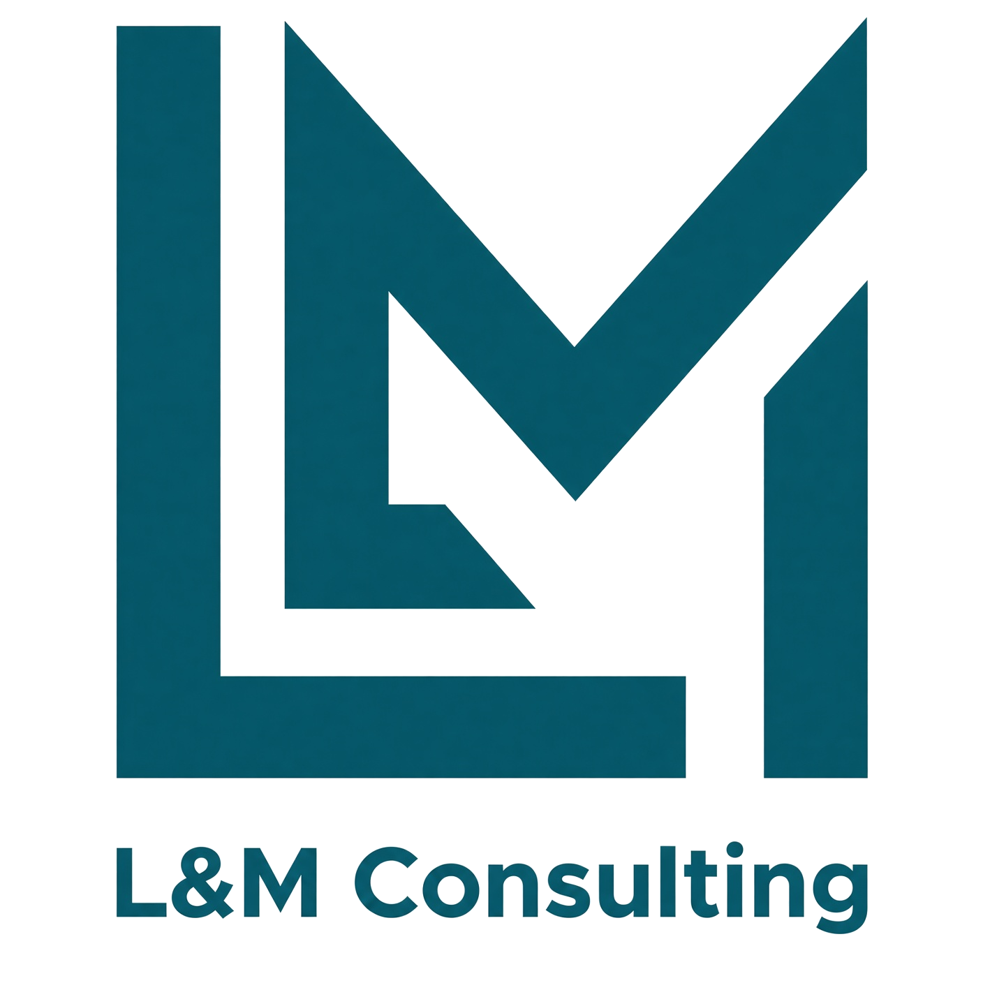 L&M Consulting Logo
